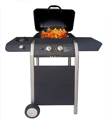 ke grill Barbecue A Gas 2 Fuochi